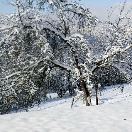 Gite Du Poirier เลอโธลี ภายนอก รูปภาพ